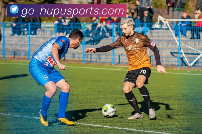 体育下注平台生态图