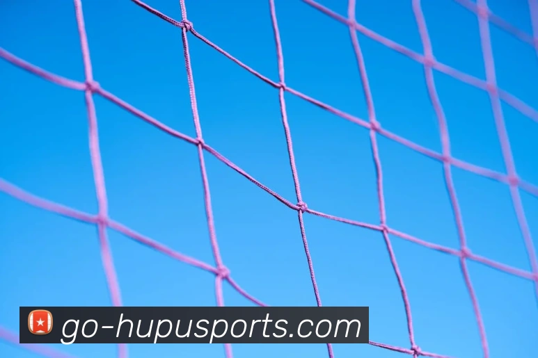 体育下注全站App 体育下注全站App